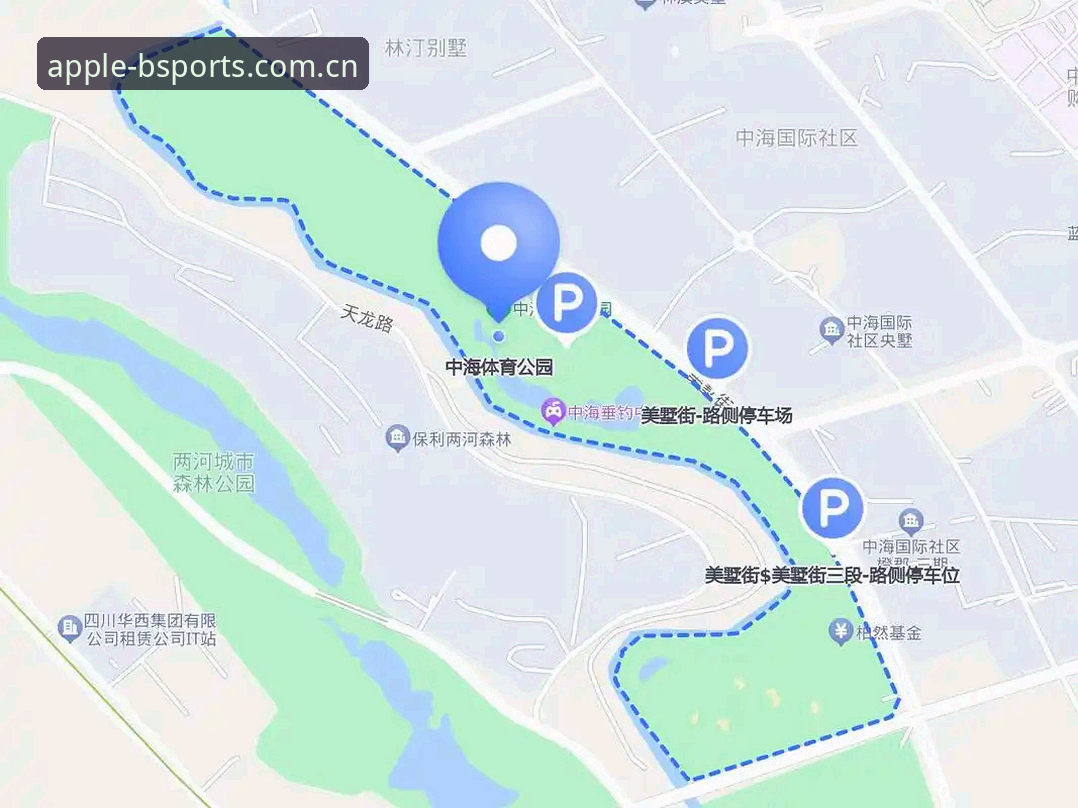 b体育苹果版会员服务攻略：从入门到精通完整指南